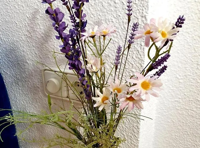 公寓 El Faro Albir *