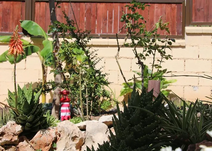 El Faro Albir 阿尔比尔